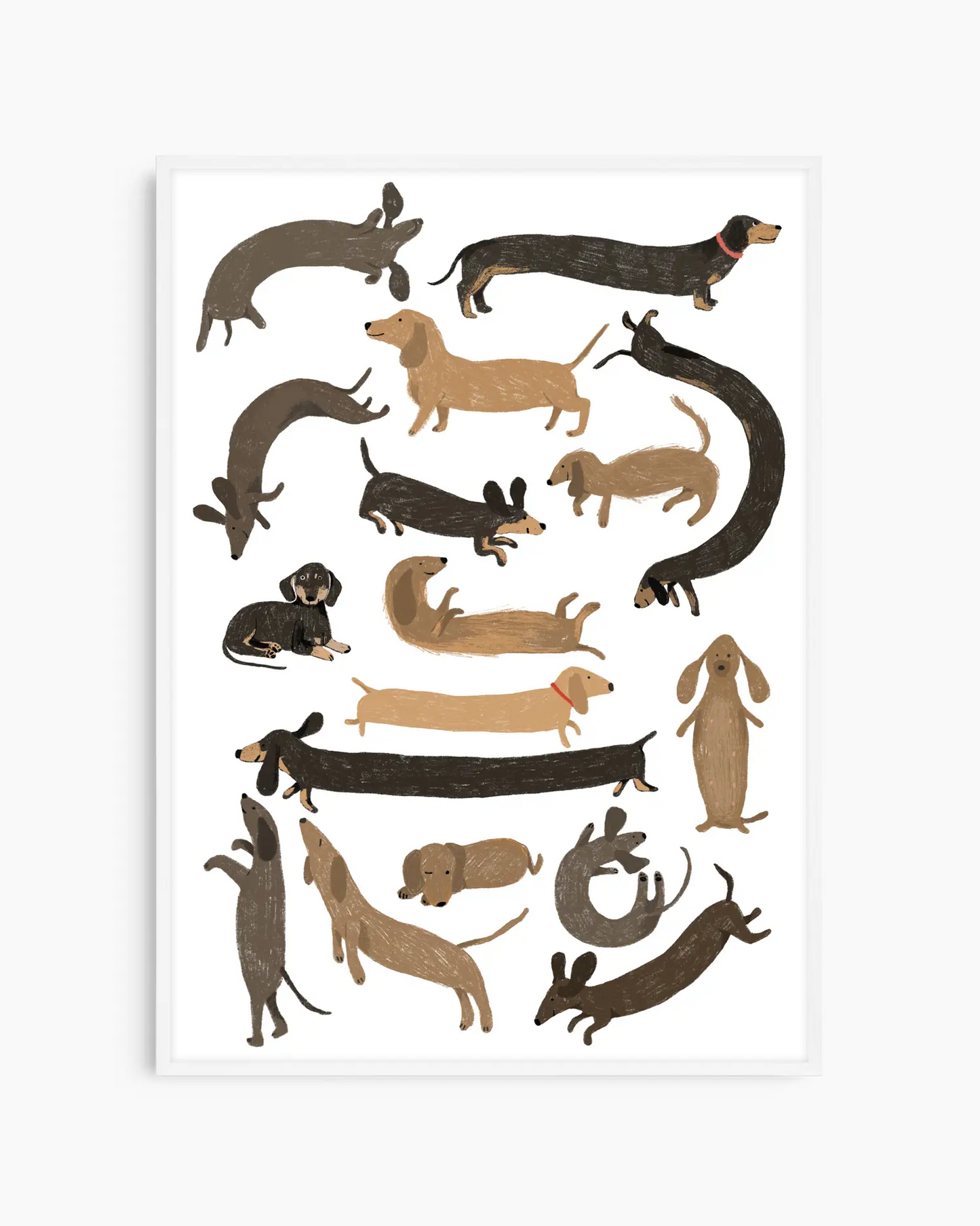 Framed artwork of various dachshund illustrations on a white background