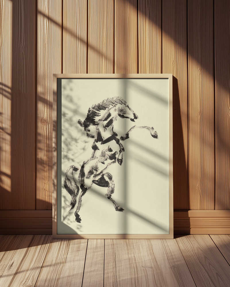 Vill Eleganse Plakat