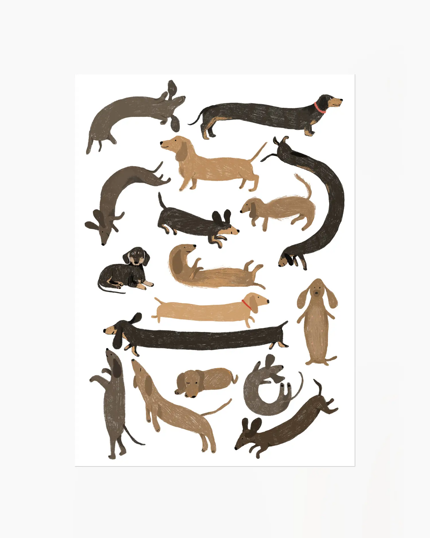 Illustrations of various dachshunds in different poses on a white background