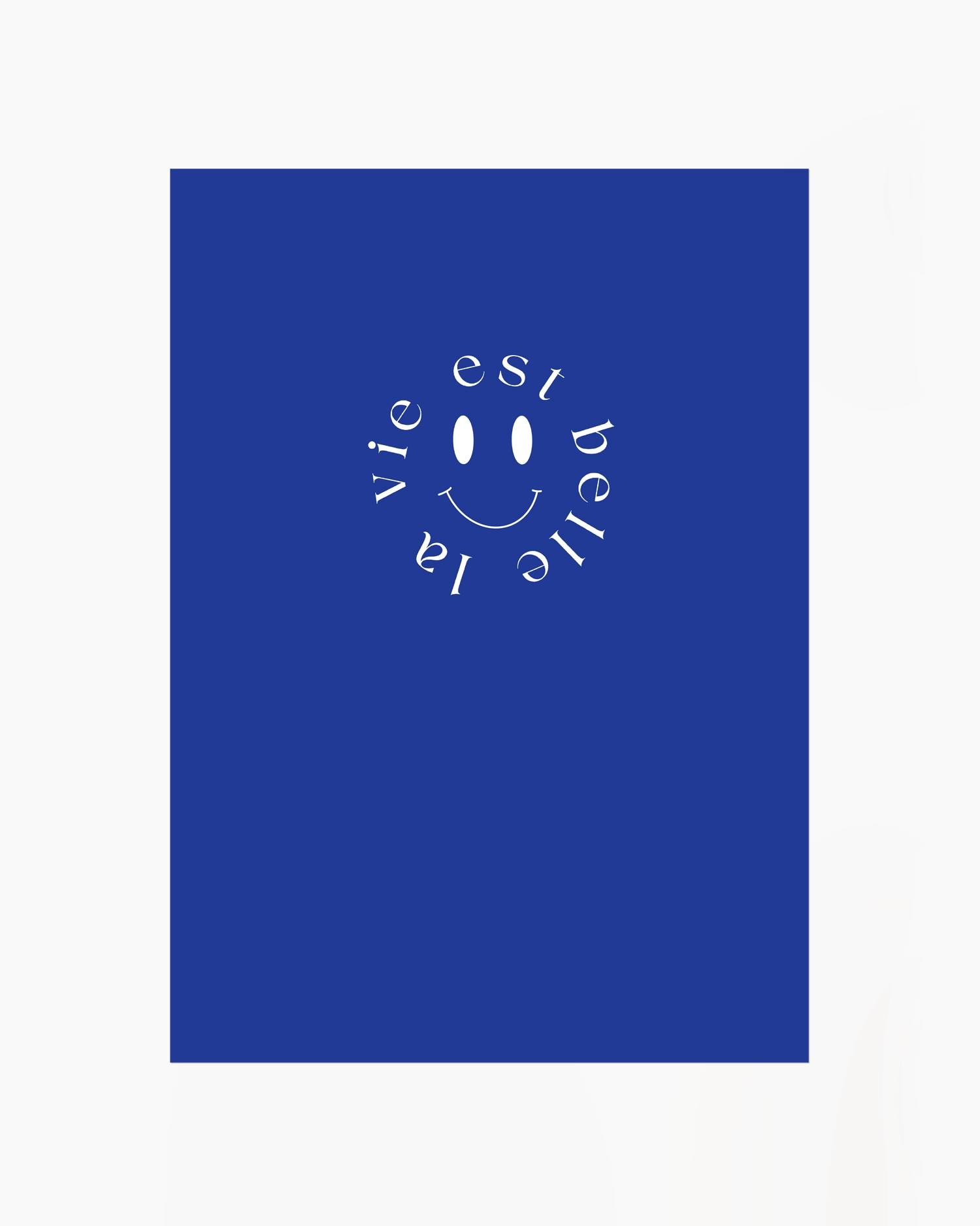 Blue book cover with white text and smiley face design on a white background