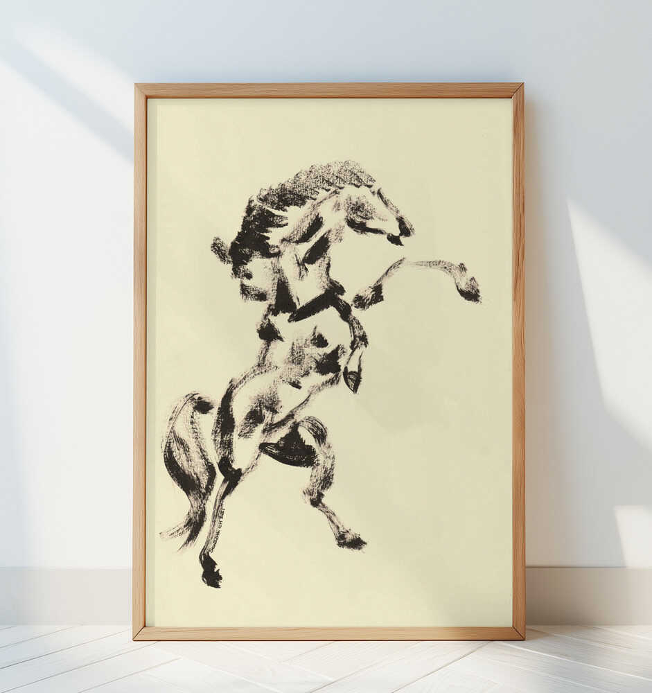 Vill Eleganse Plakat